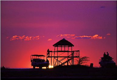 Featured is a photo of a wildlife lookout platform at the Makgadikgadi Pan in the middle of the dry savanna of northeastern Botswana ... a perfect example of a soft adventure travel experience.  Photo is by Hein Waschefort and is used courtesy of the Creative Commons Attribution Share Alike 3.0 Ported License.  (http://commons.wikimedia.org/wiki/File:Africa_safari_sunset.jpg)